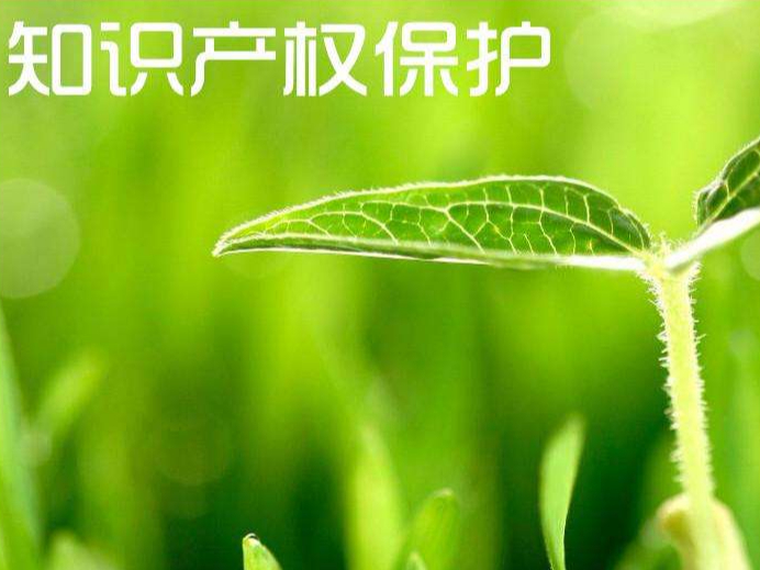 綠水青山就是金山銀山，綠色專利助推我國生態環境保護